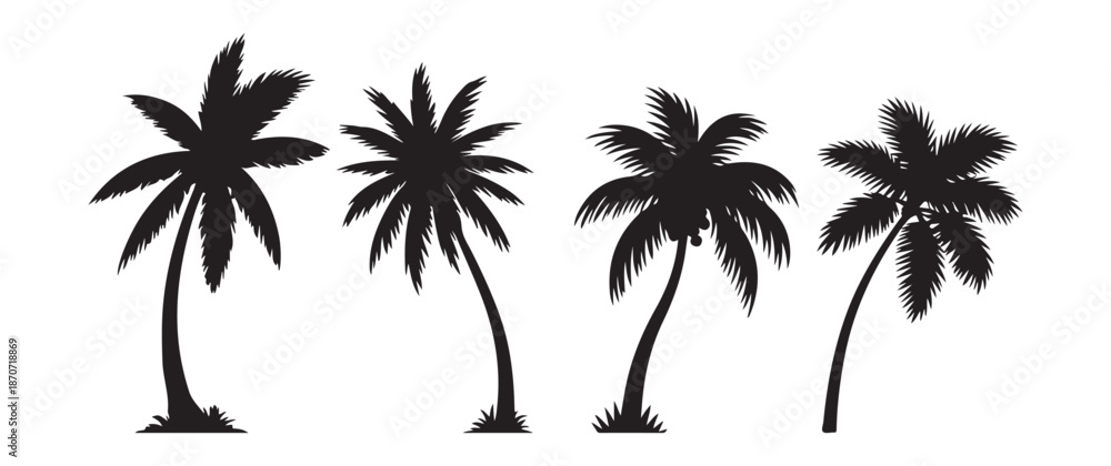 Fototapeta premium Set of Tropical Palm Tree Silhouettes in Various Shapes and Sizes for Summer Beach and Vacation Design