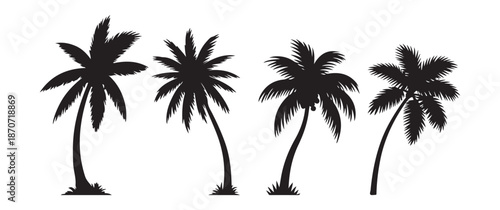 Set of Tropical Palm Tree Silhouettes in Various Shapes and Sizes for Summer Beach and Vacation Design