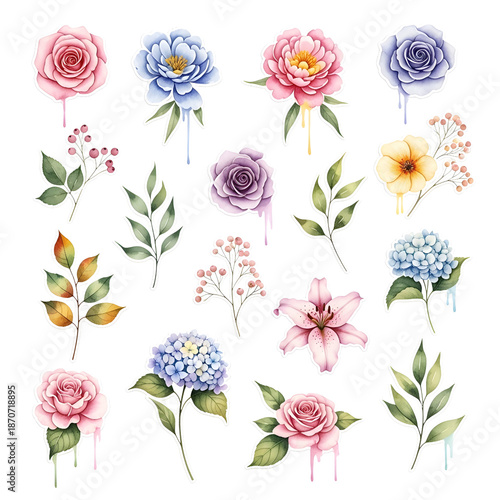 Watercolor Floral Elements PNG Set Isolated on White Background