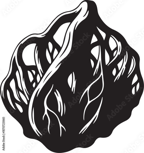 Black and white illustration of an onion bulb