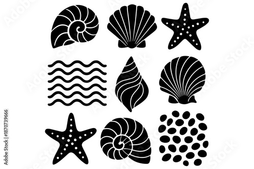 set of sea shells,
Blue Sea Shells Vector Collection, Summer Ocean Elements