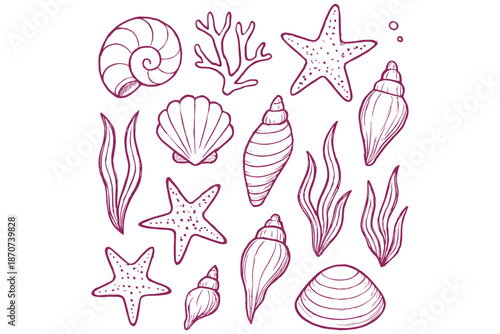 vector illustration of Sea Shells,
Hand-Drawn Sea Shells, Starfish & Coral, Blue Ocean Sketch Set