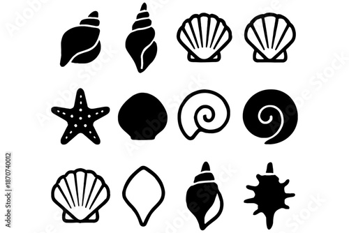 set of Sea Shells,
Sea Shells, Hand-Drawn Ocean & Marine Illustration Collection