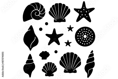 set of sea shells,
Underwater Sea Shells Set, Blue Marine & Summer Theme