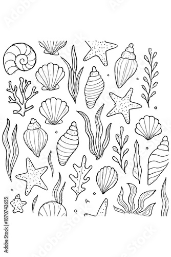 set of Sea Shells,
Vintage Blue Sea Shells & Marine Life, Hand-Drawn Coastal Collection
