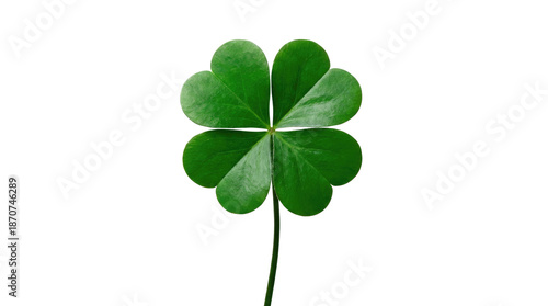 Happy st patricks day a four leaf clover with a stem is centered on a plain white surface in a digital image alpha channel with white background