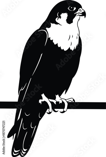 Ramadan Falcon Silhouette Vector – Islamic Art, Black and White Bird Illustration for Ramadan Decor
