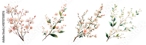 Watercolor  set blossom branch with delicate pink flowers blooming on white background. Spring floral illustration perfect for romantic designs and nature-inspired projects. Vector illustration.