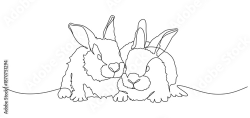 vector line art design of two rabbits for easter day