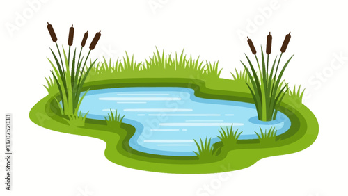A serene pond surrounded by lush green grass and tall reeds in a natural setting viewed from above