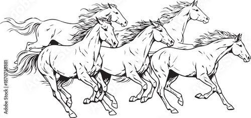 Four horses running together in a line illustration