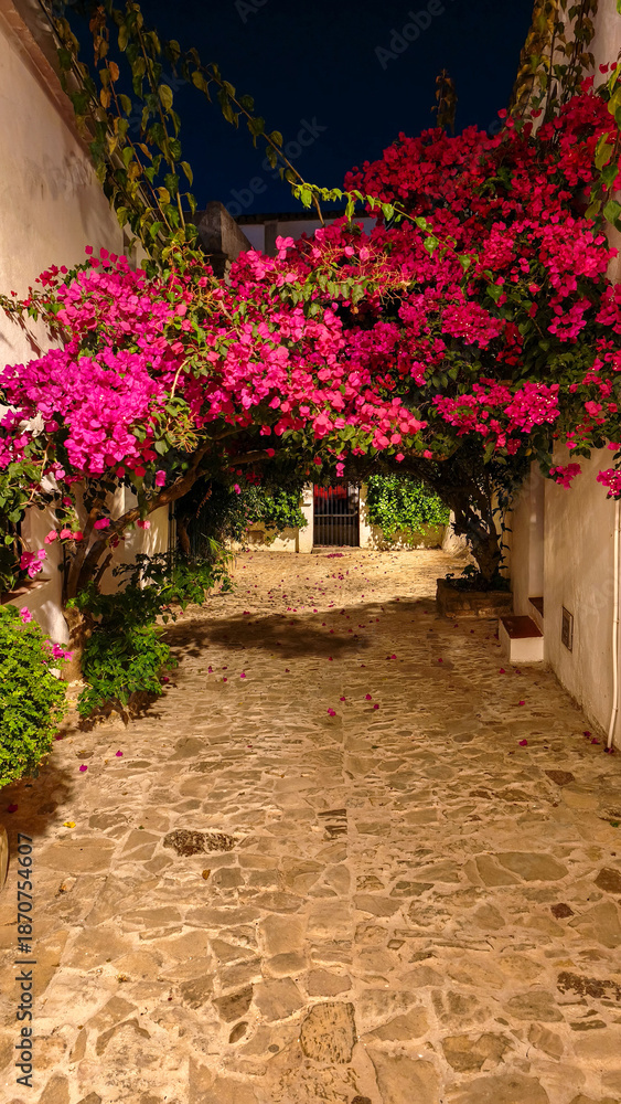 Fototapeta premium White village of Castillo de Castellar de la Frontera at night, Spain