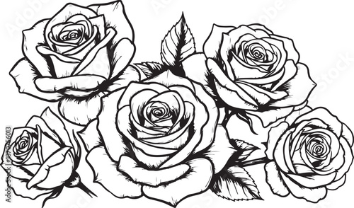 Black and White Roses Line Drawing Illustration