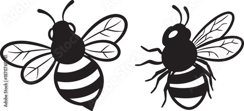 Black and white bees illustration on clean background