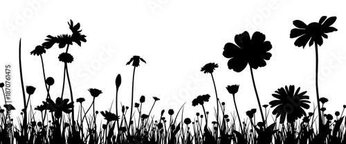 Silhouette of Blooming Flowers: The striking silhouettes of various wildflowers sway gracefully against the light, painting a captivating image of botanical harmony