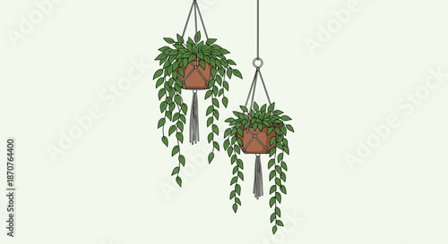 Two green leafy plants in brown terracotta pots are suspended by macrame hangers against a light green background in this illustration.