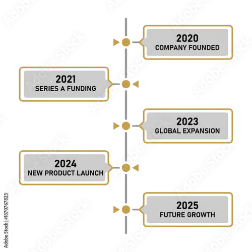 Company Timeline Illustrating Major Milestones from Founding to Future Growth