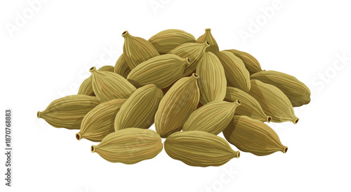 Large pile of green cardamom pods used as a fragrant spice in cooking and baking shown in a detailed vector illustration style.