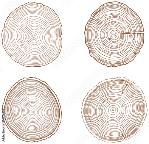 Detailed vector illustration of natural tree trunk cross sections revealing unique annual growth rings patterns