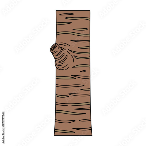Simplified tree trunk with branch collar illustration for cherry tree pruning education