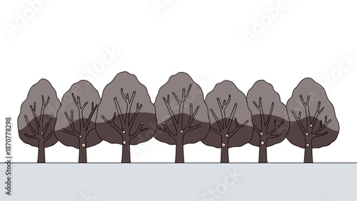 Row of stylized cherry trees in dormant stage for cherry tree pruning planning and orchard management