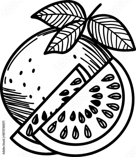 Guava fruit with leaves and sliced pieces fresh tropical fruit illustration