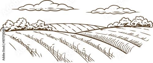 Rustic countryside landscape with rolling fields, trees, and clouds in a detailed sketch