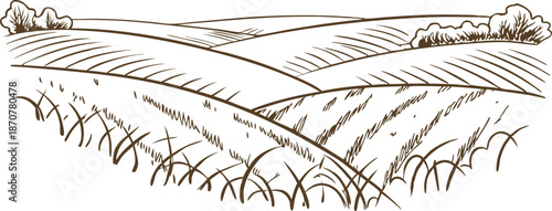 Rural farmland landscape with rolling hills and crops hand drawn illustration