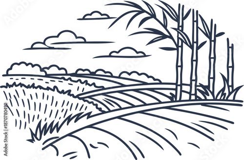 Rural landscape with sugarcane plants, rolling hills, field crops, and clouds in the sky