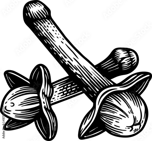 clove spice close up dried aromatic cloves for cooking and herbal use natural seasoning and flavoring ingredients
