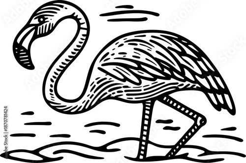 Hand drawn flamingo standing in shallow water with detailed feather and beak patterns