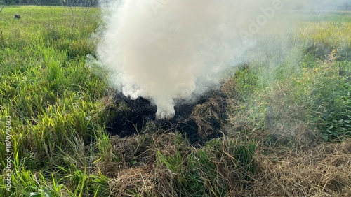 water sprinkler in the field