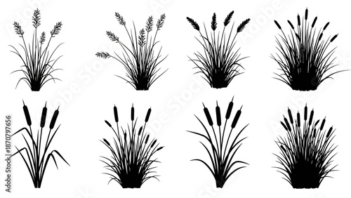 Collection of various plants and illustrations showcasing different types of flora