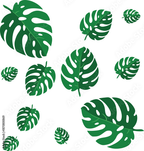 Vector set of tropical jungle leaves including Monstera, Banana, and Palm fronds isolated on a black background.