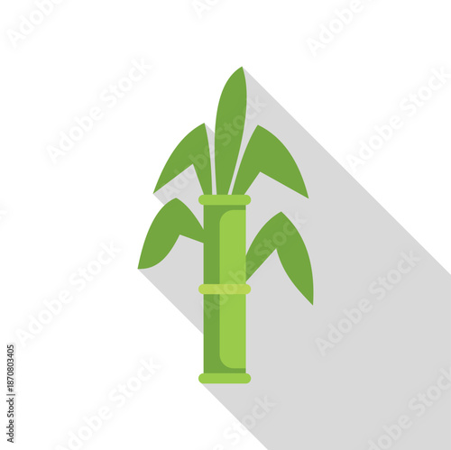 Bamboo stalk presenting healthy growth with green leaves and a long shadow