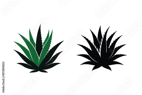 Aloe Vera Plant Silhouette Icon Vector Illustration Medicinal Succulent Plant Design