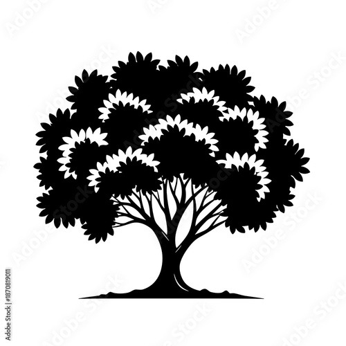 Silhouette of mature tree with full canopy for pruning reference and design