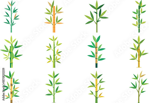 Botanical Plant and Flower Illustration Bundle Featuring Tropical Leaves, Succulents, Cactus, Ferns and Floral Elements, Nature Inspired Flat Vector Icons Isolated on White Background