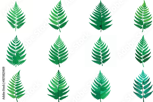 Botanical Plant and Flower Illustration Bundle Featuring Tropical Leaves, Succulents, Cactus, Ferns and Floral Elements, Nature Inspired Flat Vector Icons Isolated on White Background