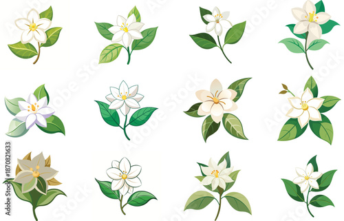 Botanical Plant and Flower Illustration Bundle Featuring Tropical Leaves, Succulents, Cactus, Ferns and Floral Elements, Nature Inspired Flat Vector Icons Isolated on White Background