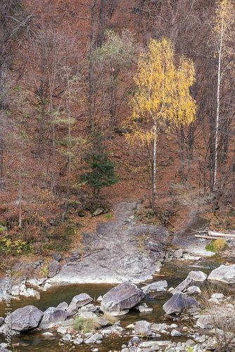 A stunning autumn landscape of the Carpathians