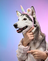 A Siberian Husky dressed in a unicorn costume makes a playful gesture, captured against a pink and blue gradient background. The lively pose and whimsical outfit enhance the image's charm.