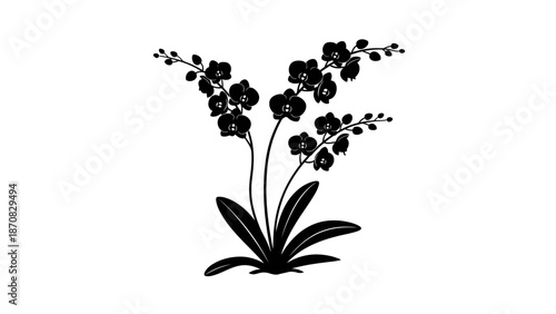 Minimalist Silhouette Illustration of a Floral Plant with Blooming Flowers and Long Leaves