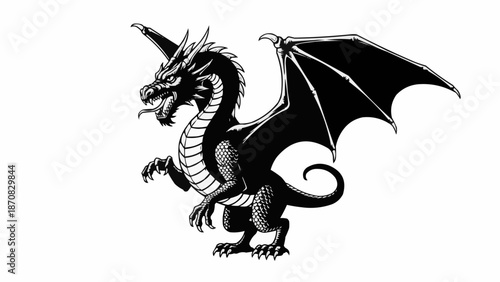 black and white dragon