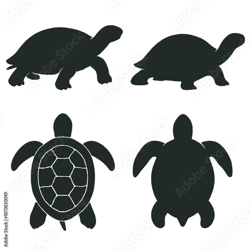 Turtle and Tortoise Silhouettes Collection