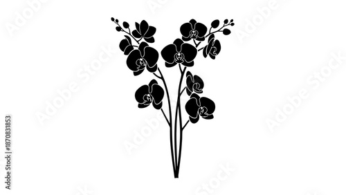 Silhouette of a delicate flower bouquet with multiple blossoms and small buds in black and white