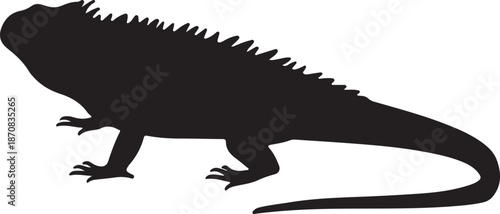 Silhouette of an iguana against a stark white background, highlighting its distinctive shape and features