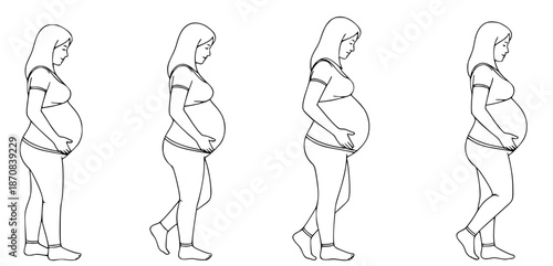 Illustrated progression of pregnancy, showcasing a woman's body transformations and the gradual growth of her belly through different stages, symbolizing the expectant mother's journey and fetal devel