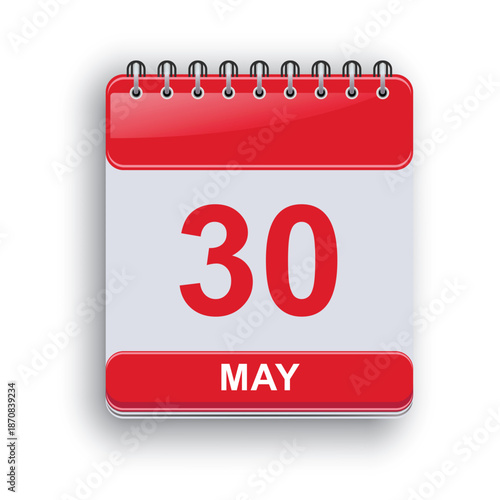 May 30 Daily Planner Template Professional Layout