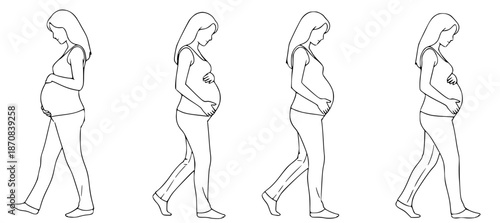 Progression of Pregnancy Visualizing the Stages of Prenatal Development Through Sideways Silhouettes